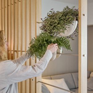 Een persoon plaatst weelderige groene hangplanten in WoodUpp witte halve bol plantenpotten, bevestigd aan roestvrijstalen stangen in een WoodUpp houten lamellen roomdivider; de foto toont natuurlijke eiken lamellen, metalen houders en minimalistische potten die sfeer en privacy creëren met een warme, moderne uitstraling in de woonkamer.